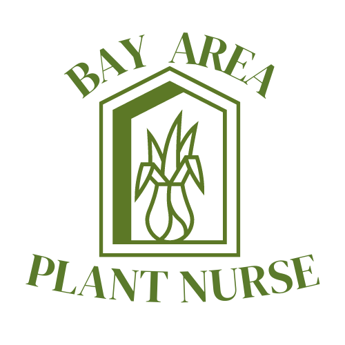 Bay Area Plant Nurse