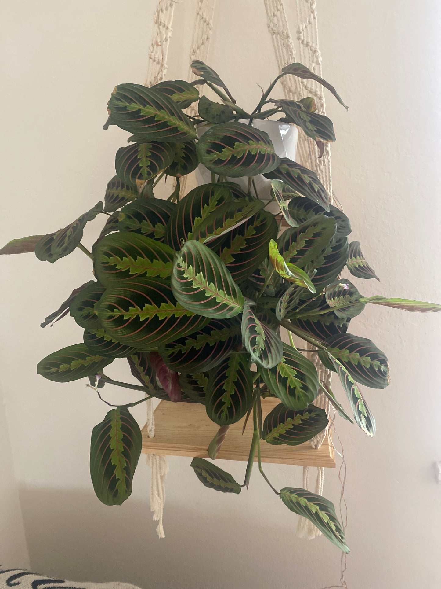 Double Tier Macrame Plant Shelf